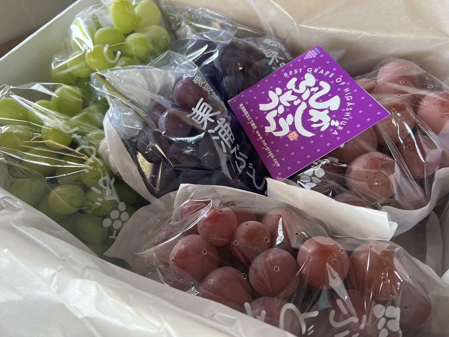 栽培品種の紹介 | 清水ぶどう園